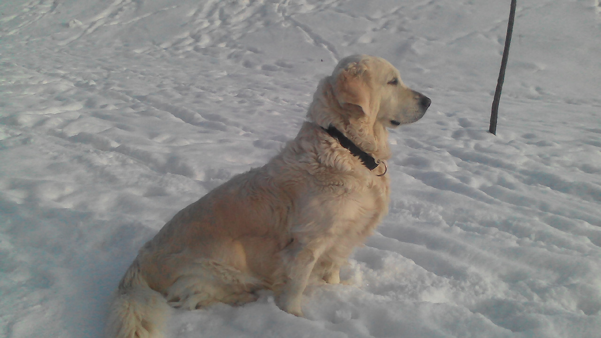 Из личных фото