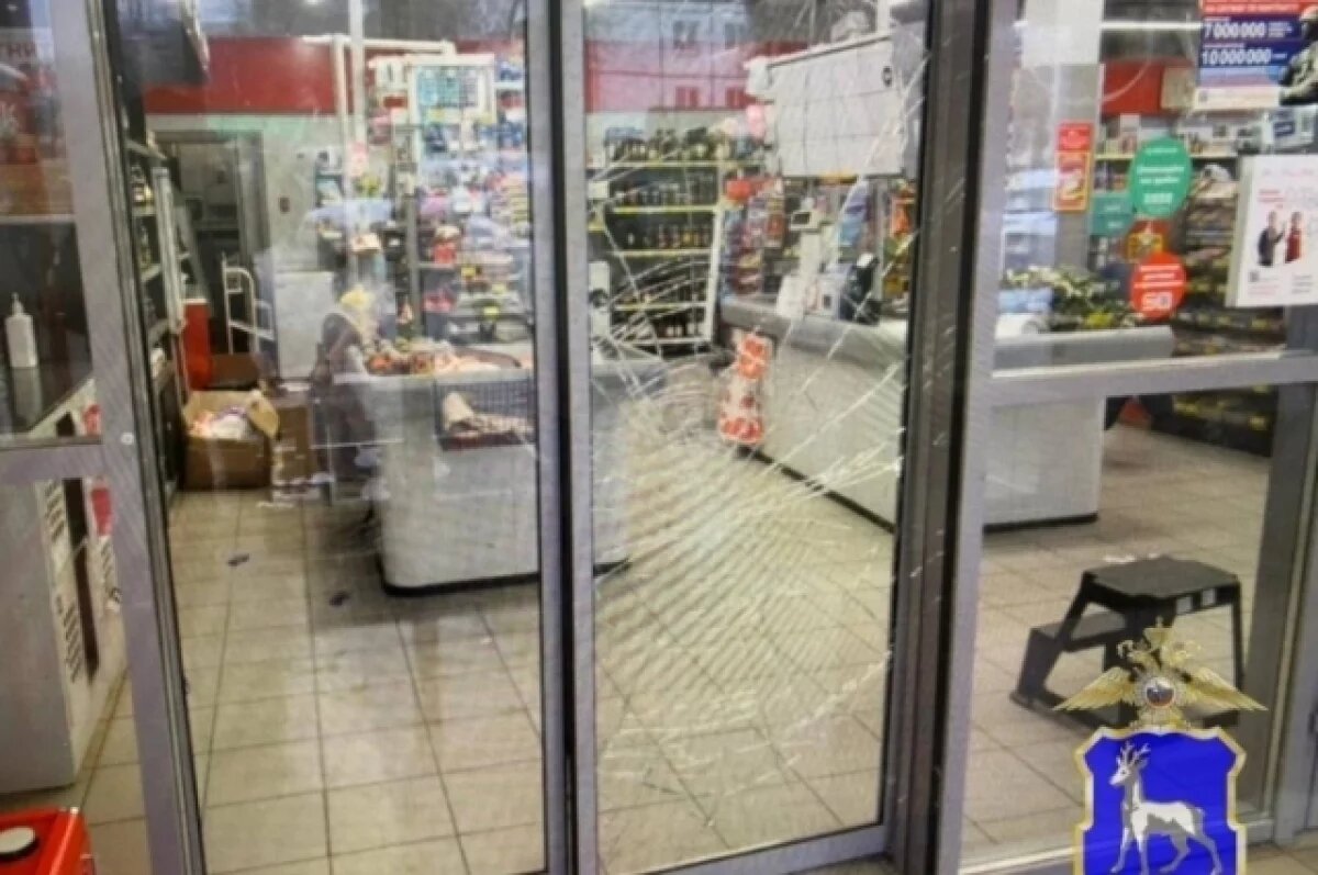    В Тольятти сотрудники УГРО поймали серийных магазинных воришек