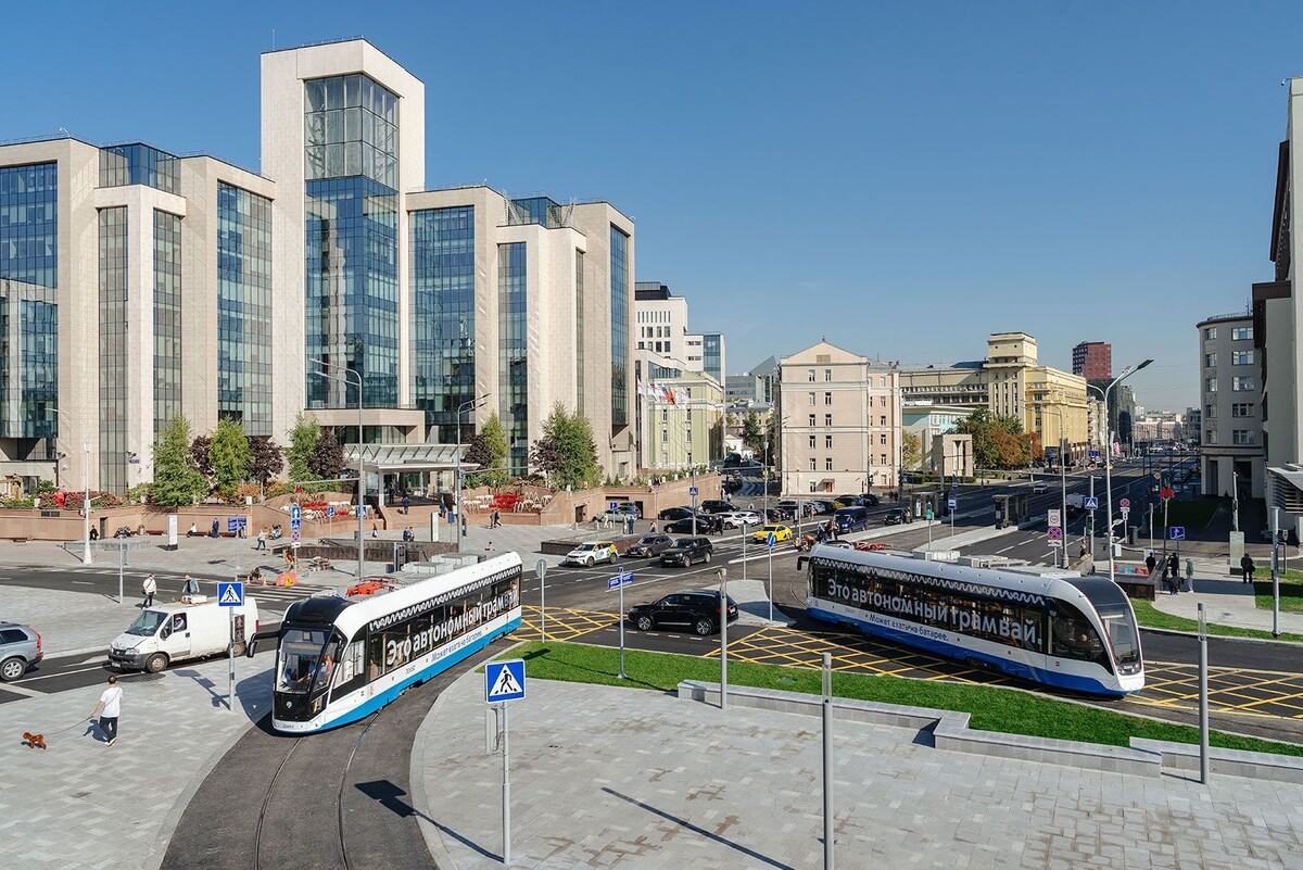    Десять тысяч новых деревьев преобразят улицы и набережные Москвы