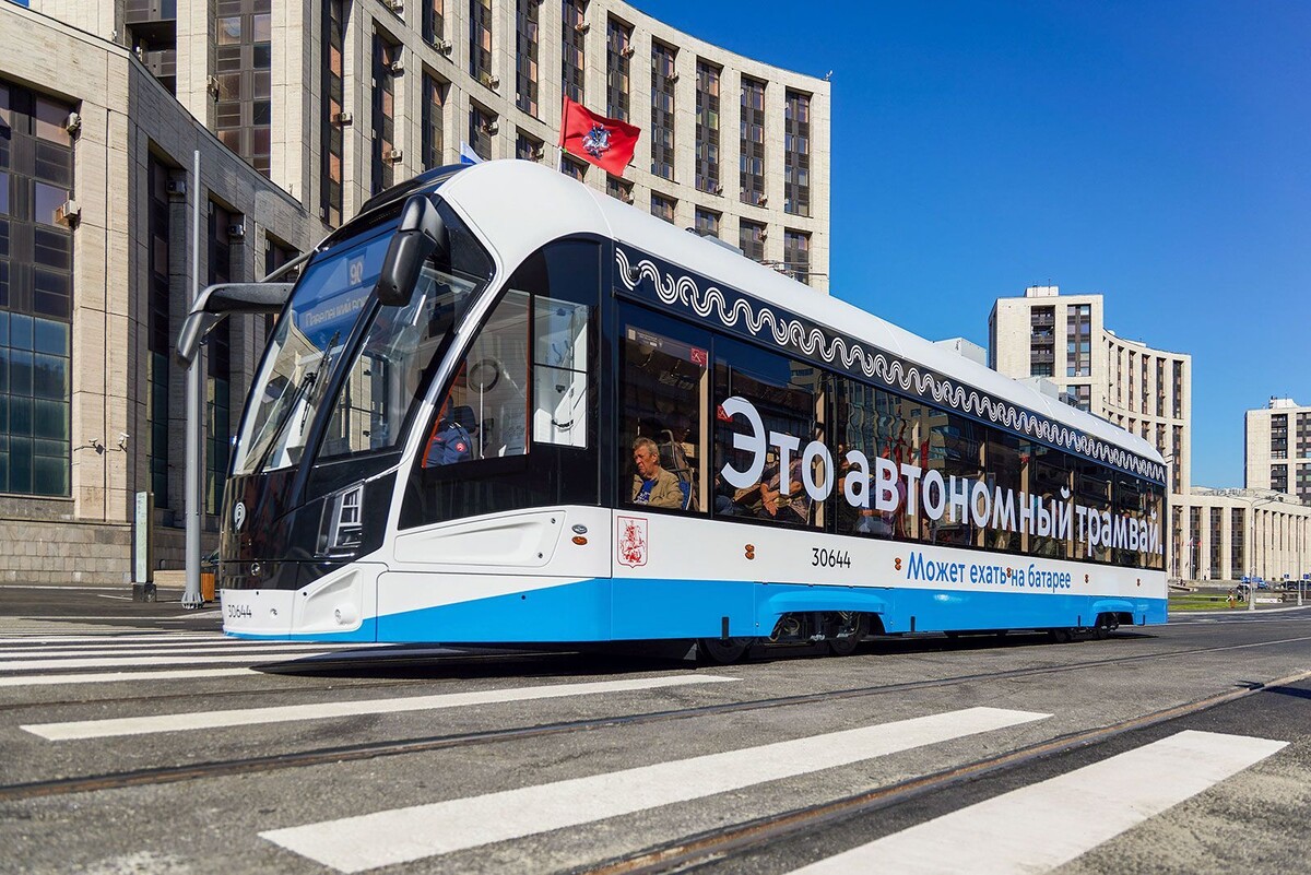    Десять тысяч новых деревьев преобразят улицы и набережные Москвы