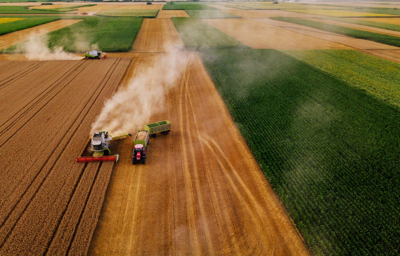  покупают участки для отдыха на природе и выращивания овощей и ягод. 
