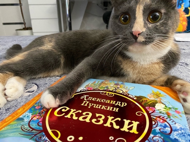     Фото: "МК в Калуге"