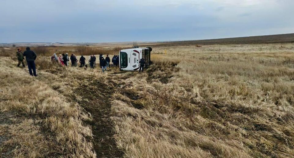    Госавтоинспекция Челябинской области