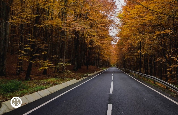    Фото ТГ-канала Банка России Редактор