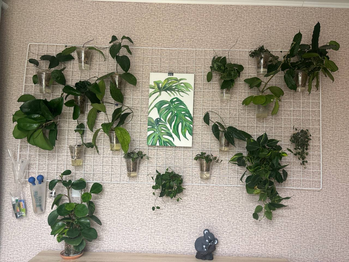 Вот один из первых вариантов моего оформления, торговой сетки после ее покупки