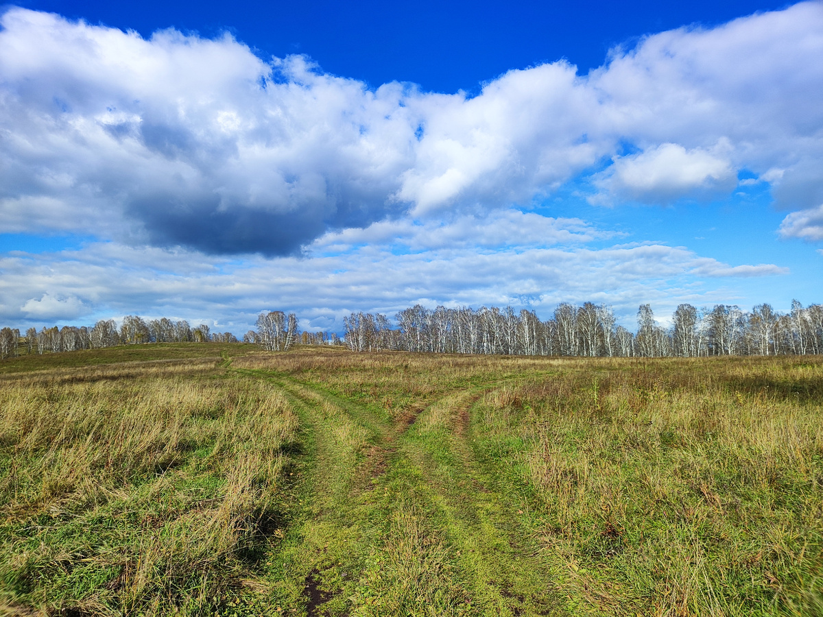 На развилке