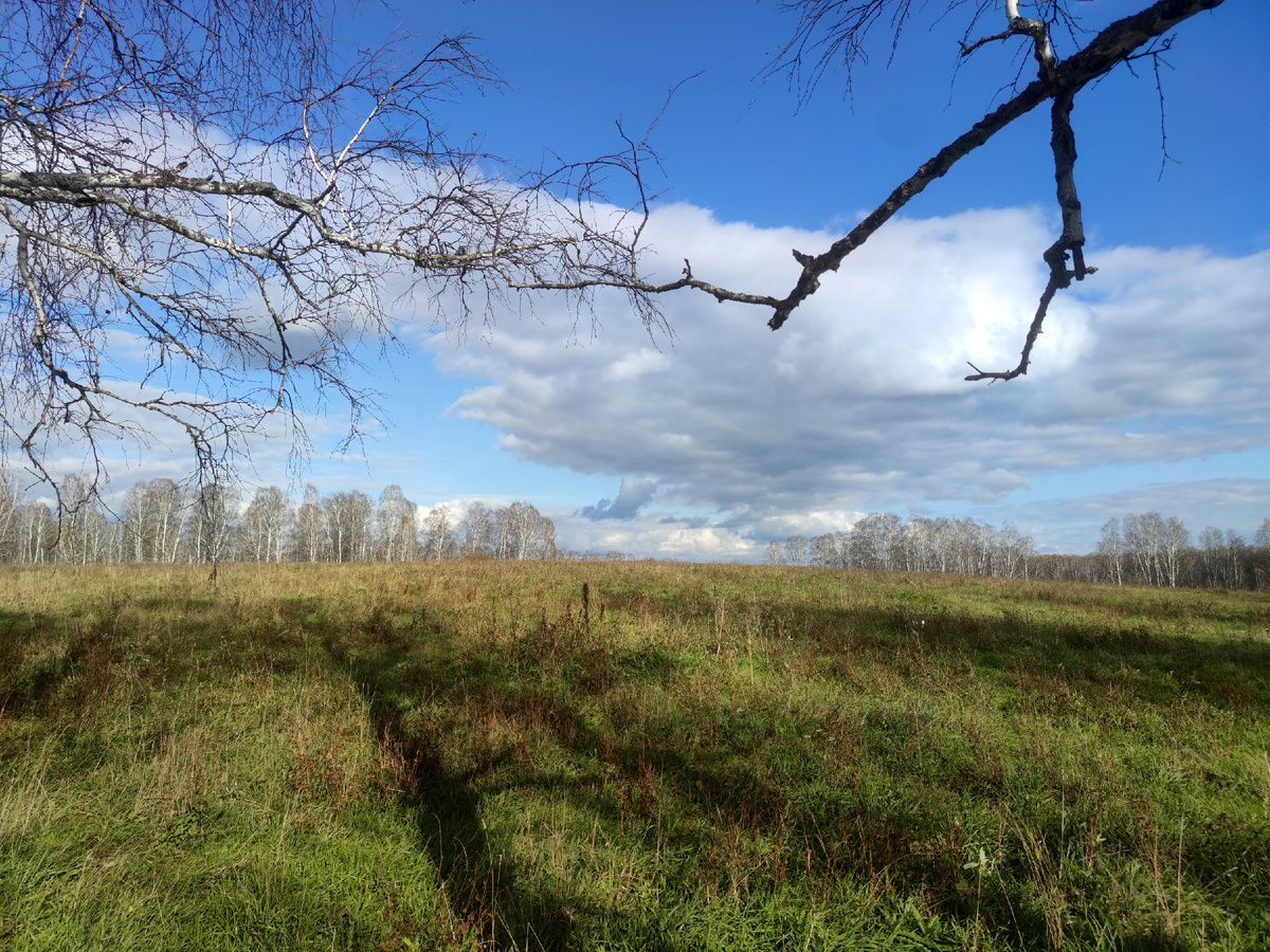 Хорошая погода