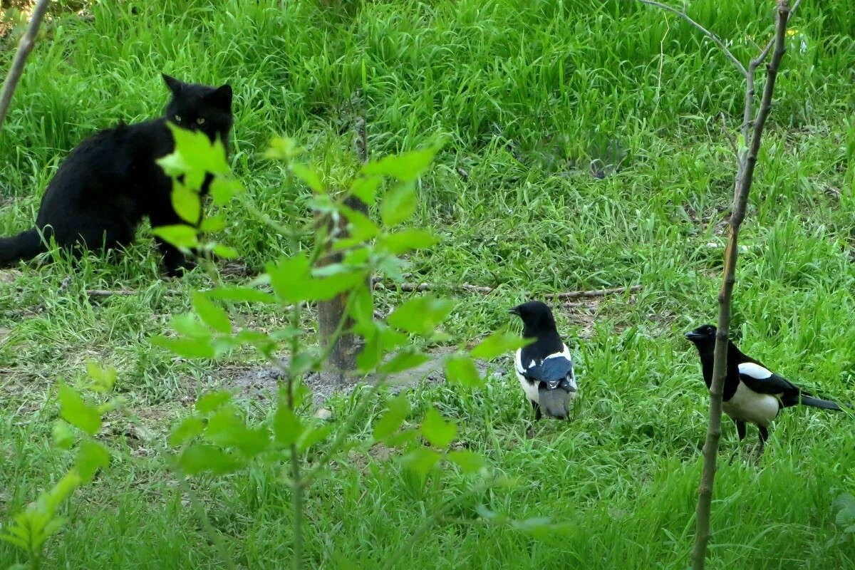 Фото с сайта: http://www.photogeek.ru/photos/71307/