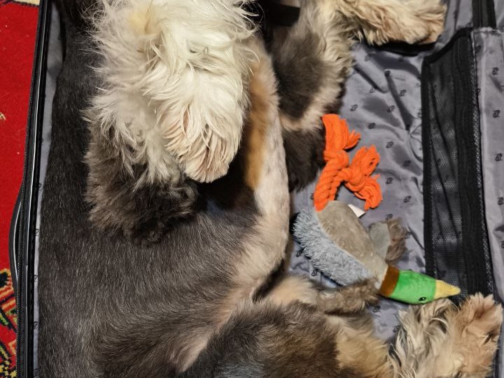 Забери меня с собой