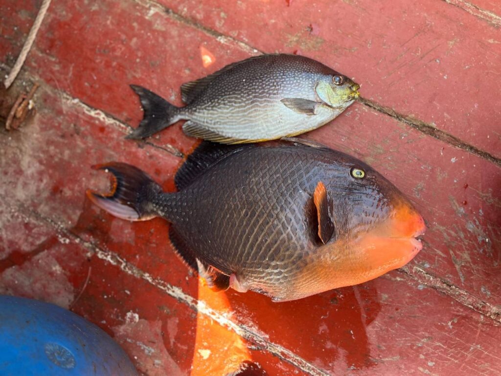    Фото: Главный региональный