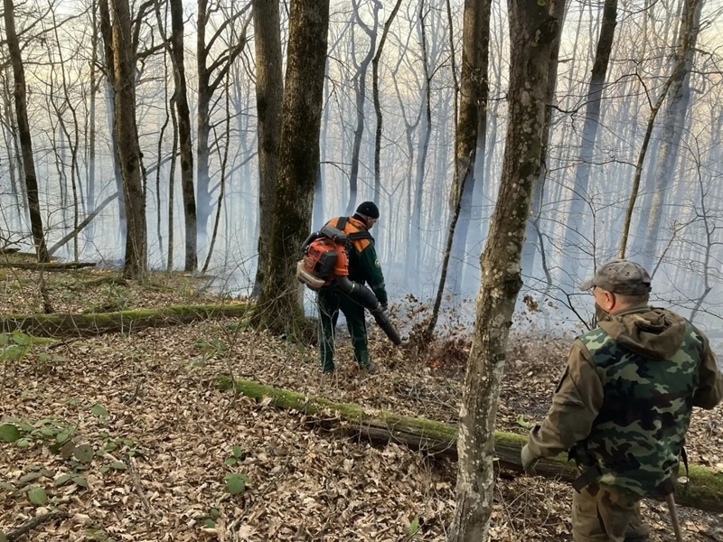    Фото: пресс-служба Краевого лесопожарного центра