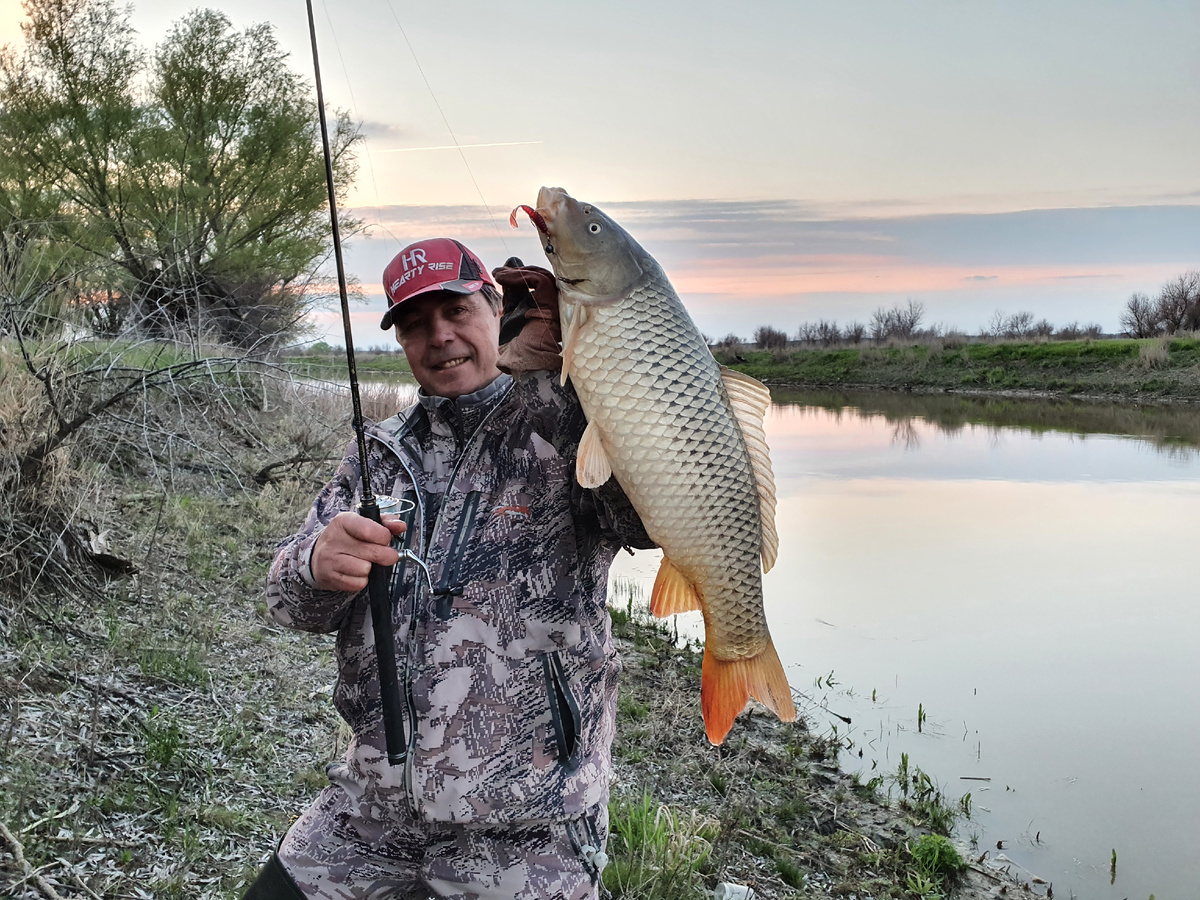 фото: Алексей Коломиец