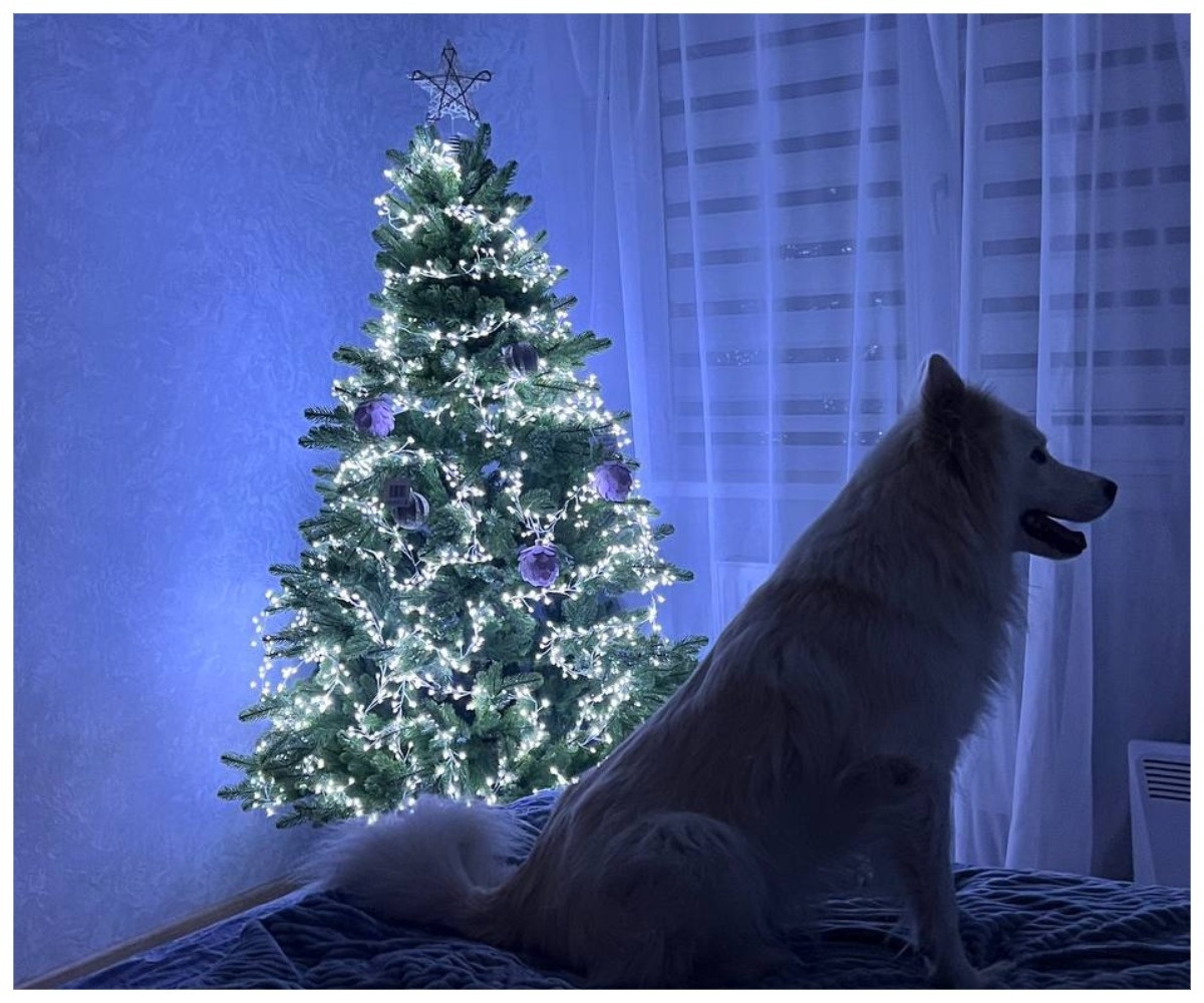 А я уже поставила елку в этом году, вот так рано захотелось новогодней атмосферы)))