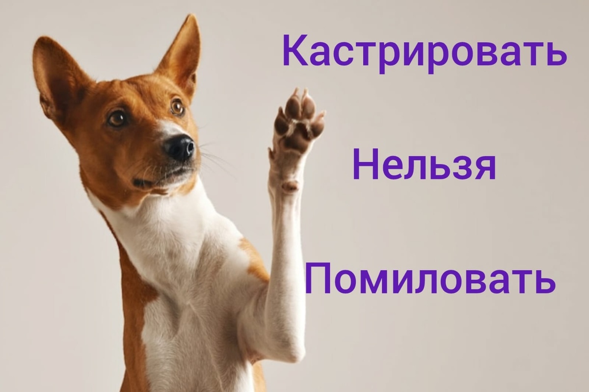 Фото из интернета 