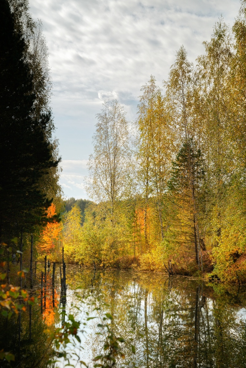 Смена осенних ярких красок на зимнее ч/б.