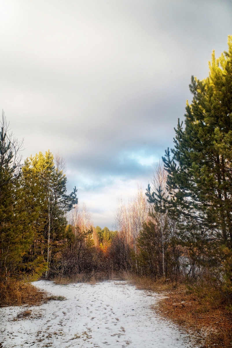Смена осенних ярких красок на зимнее ч/б.