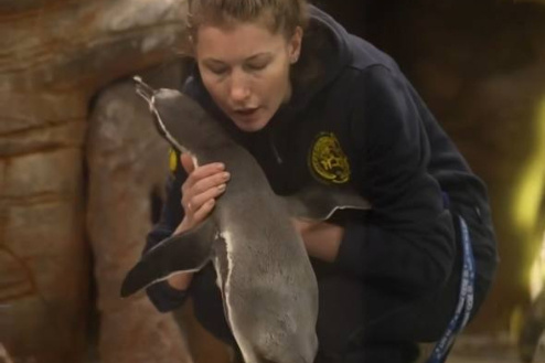    Фото и видео: Новосибирский зоопарк /Телеграм