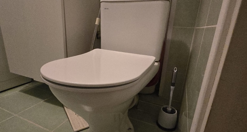    Фото Анастасии Дмитриевой