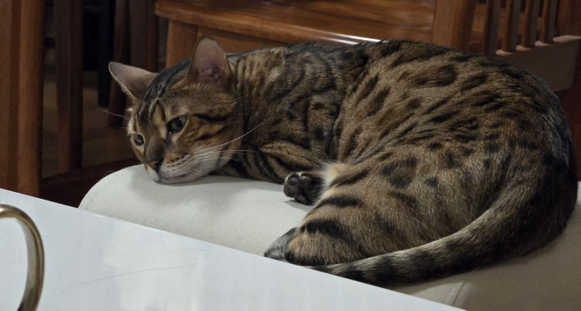    Фото Анастасии Дмитриевой