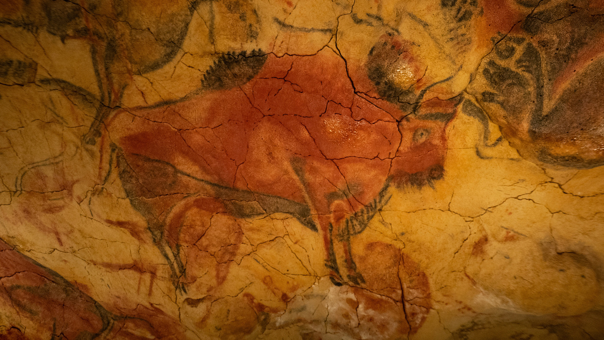     Фото: CMG_IG/Shutterstock/FOTODOM Африканские животные эволюционировали бок о бок с нашими предками на протяжении миллионов лет. Пока люди в других частях света появлялись как «внезапный хищник», для африканских зверей они были давно знакомой угрозой