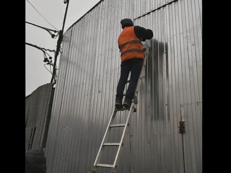     Фото: Скриншот видео от пресс-службе ККИ в Петербурге.