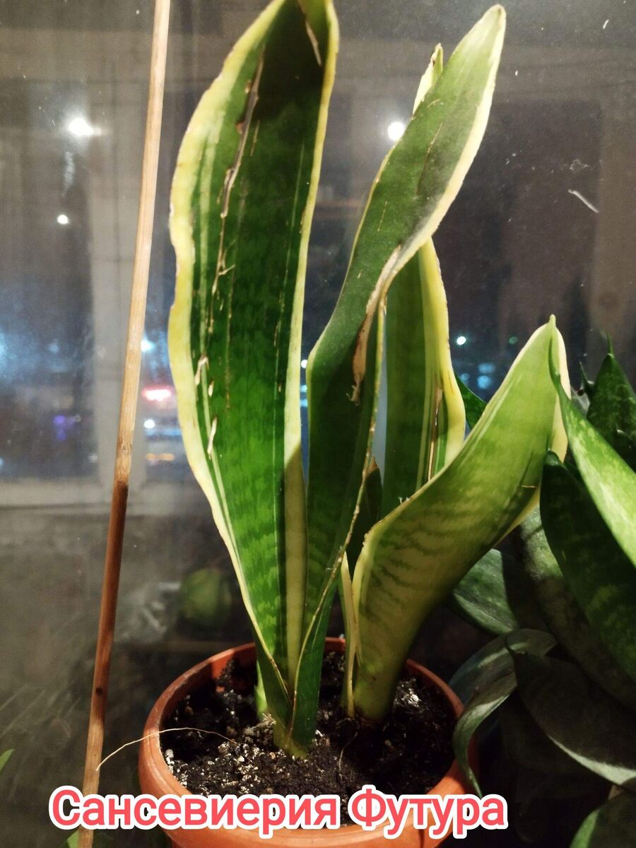 После посадки. 