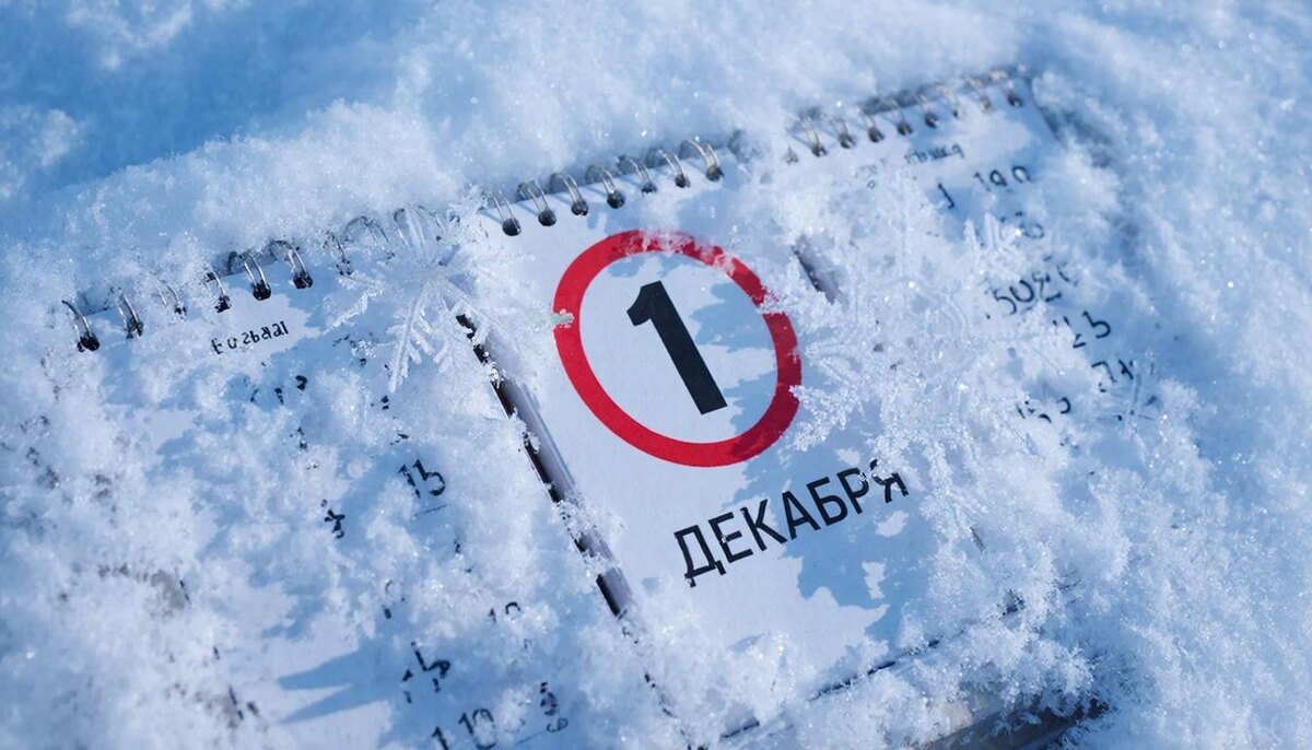 Подвожу итоги экономии и дополнительного дохода за ноябрь