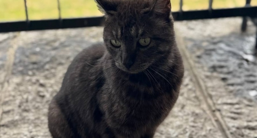    Фото Анастасии Дмитриевой