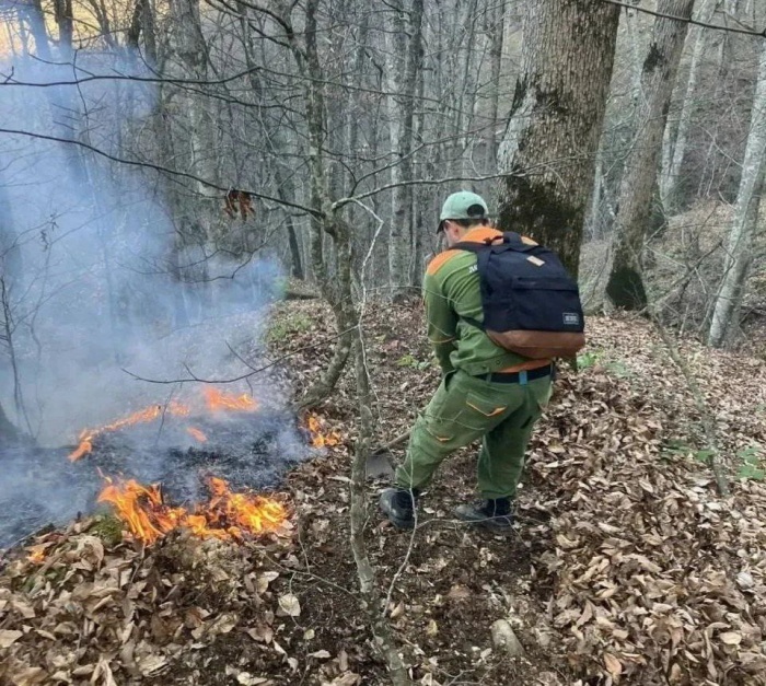    оперативный штаб Краснодарского края