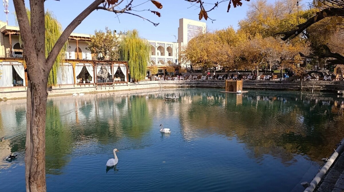     Автор: Артем Шершнев Источник: atas.info