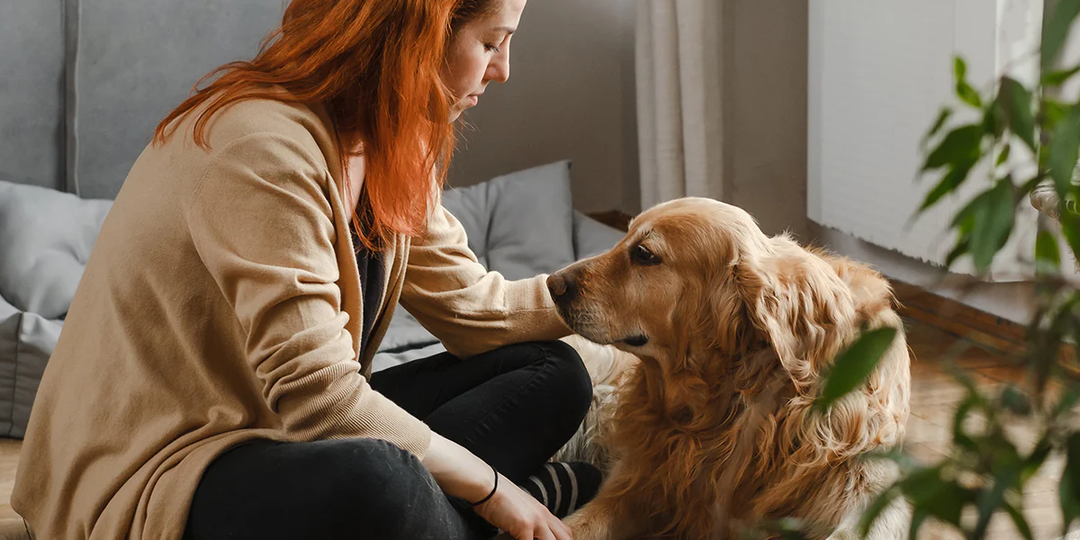 Домашний чекап: 10 минут раз в месяц, чтобы не пропустить беду у питомца