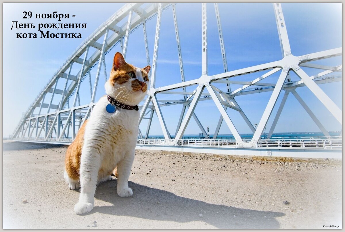 Коллаж автора. Использовано фото: © РИА Новости / Дмитрий Макеев
