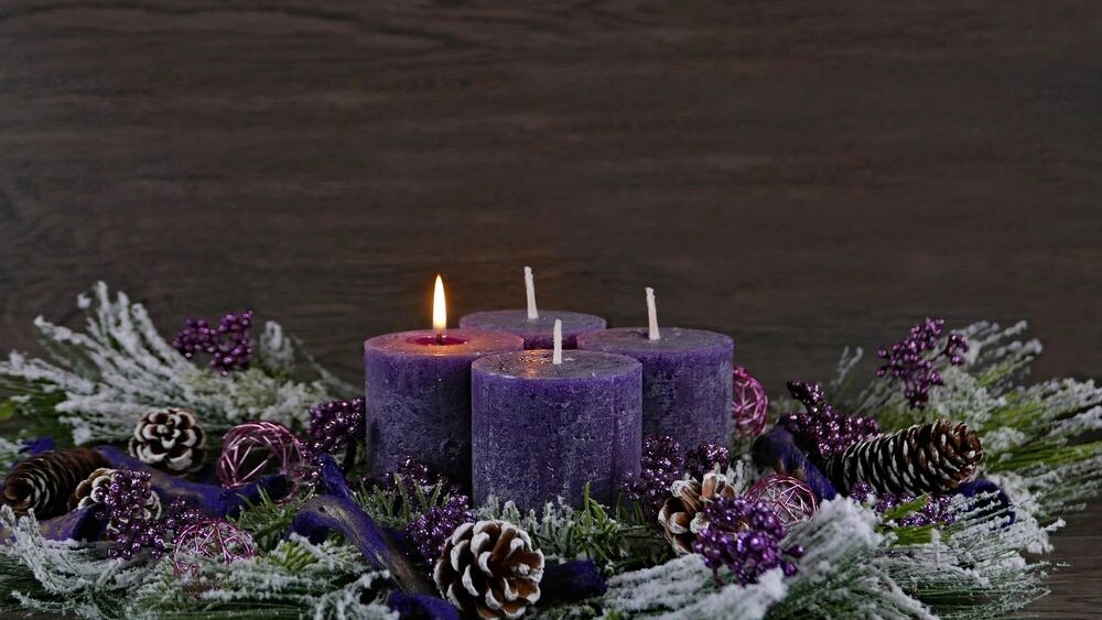    Фото: Racamani/Shutterstock/Fotodom