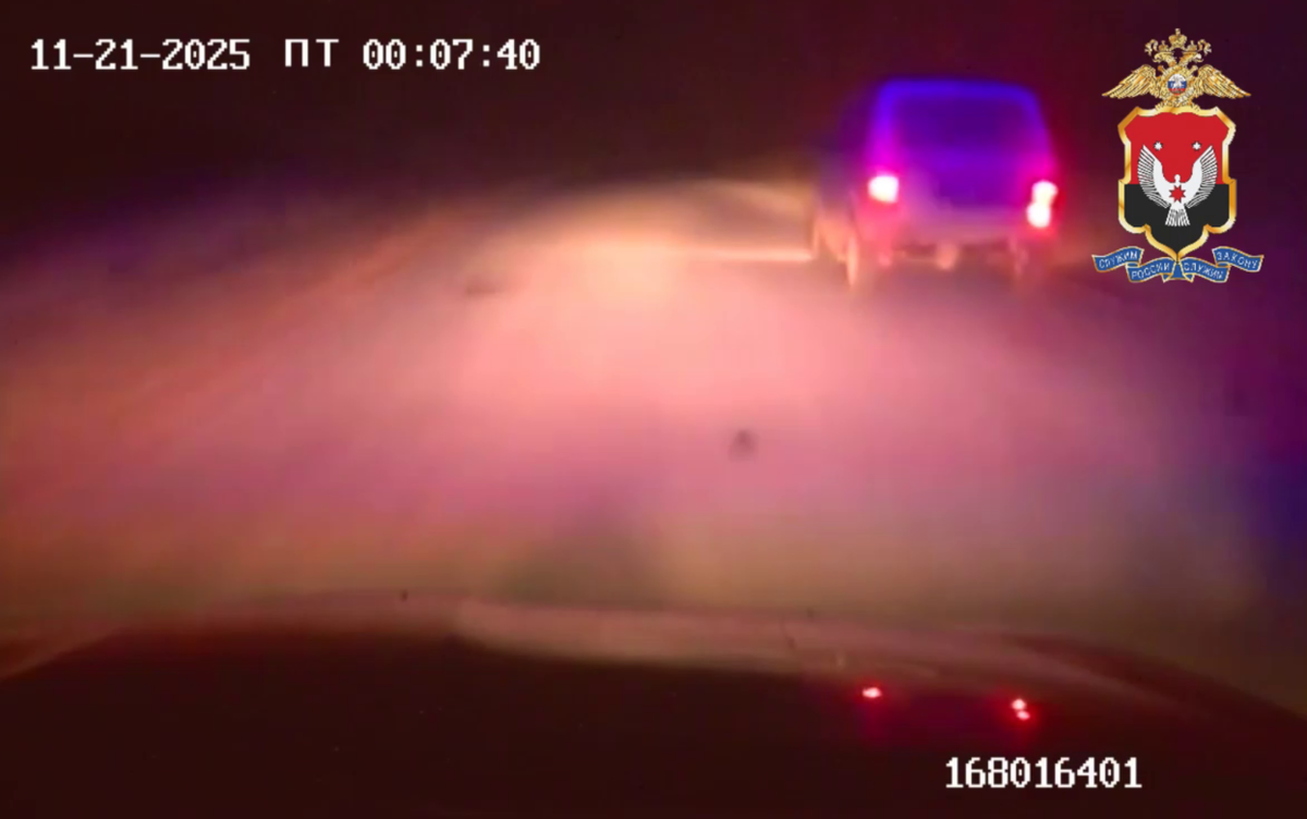    Подозреваемого в браконьерстве задержали в Удмуртии при погоне со стрельбой