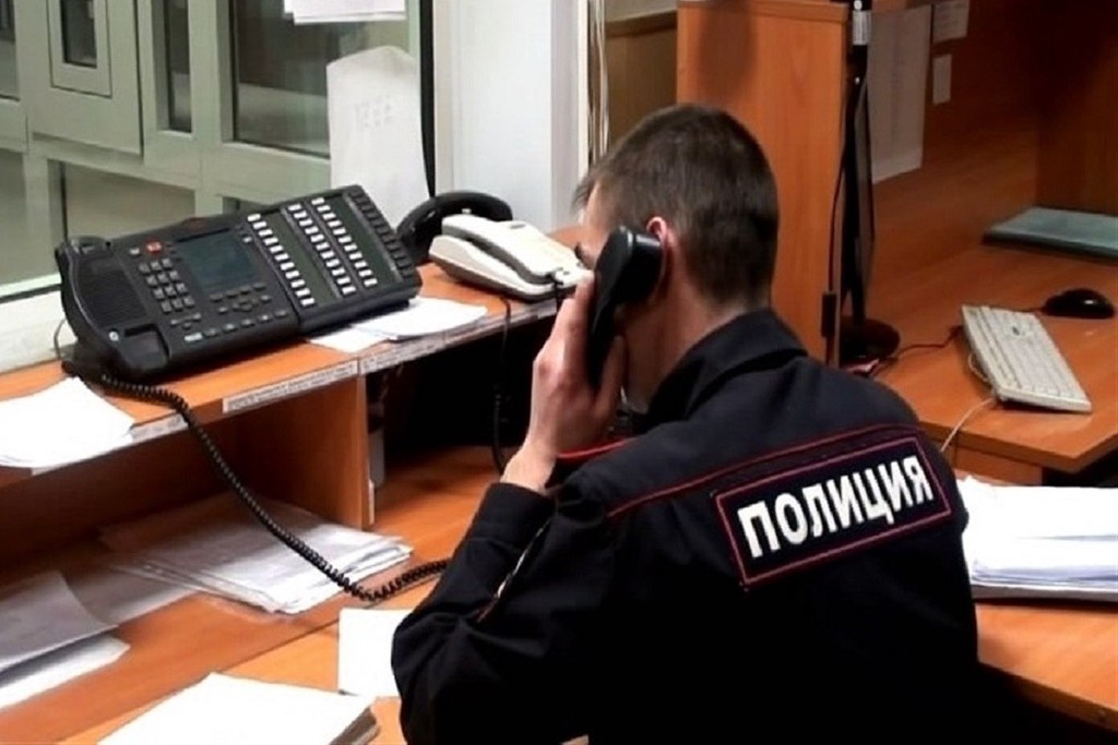    Фото © Telegram / Подмосковная полиция