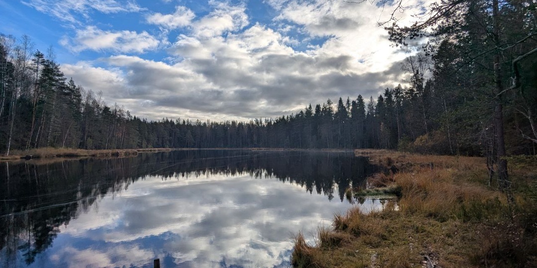 По мотивам экотропы "Шесть озер".