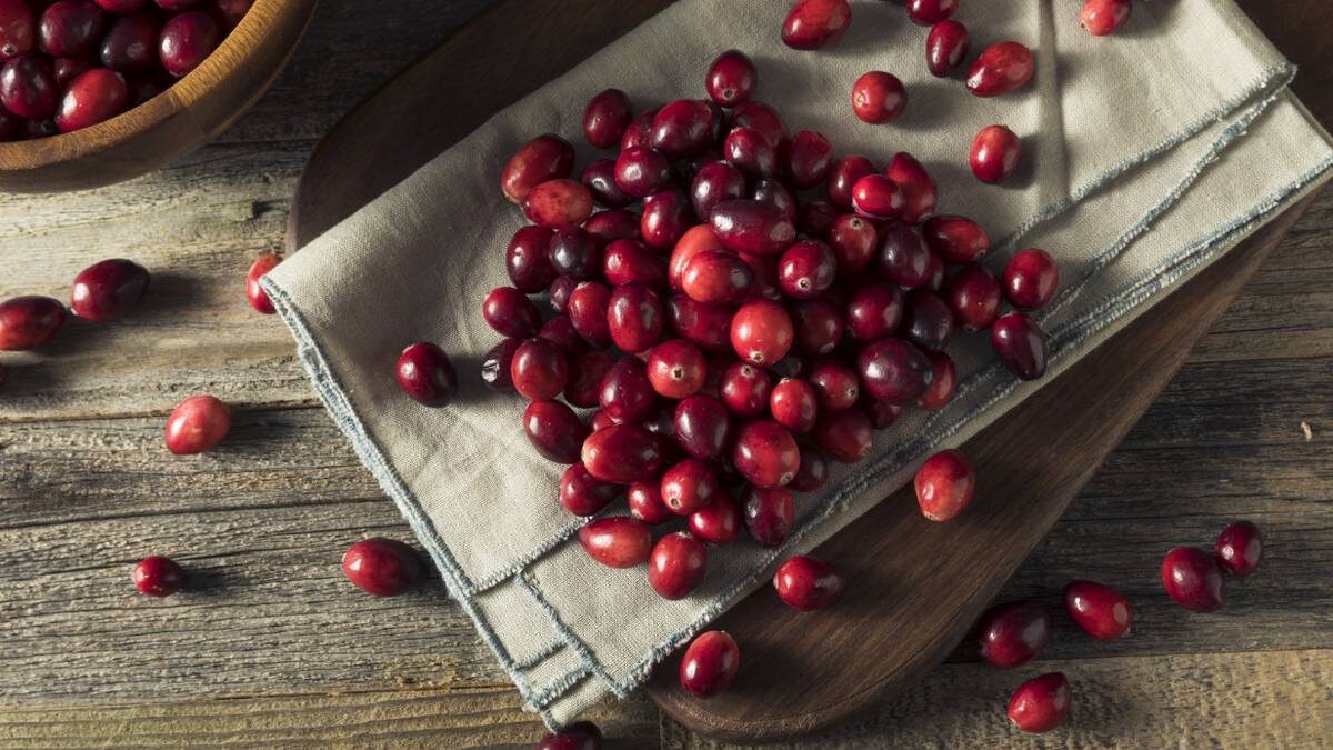    Фото: Shutterstock