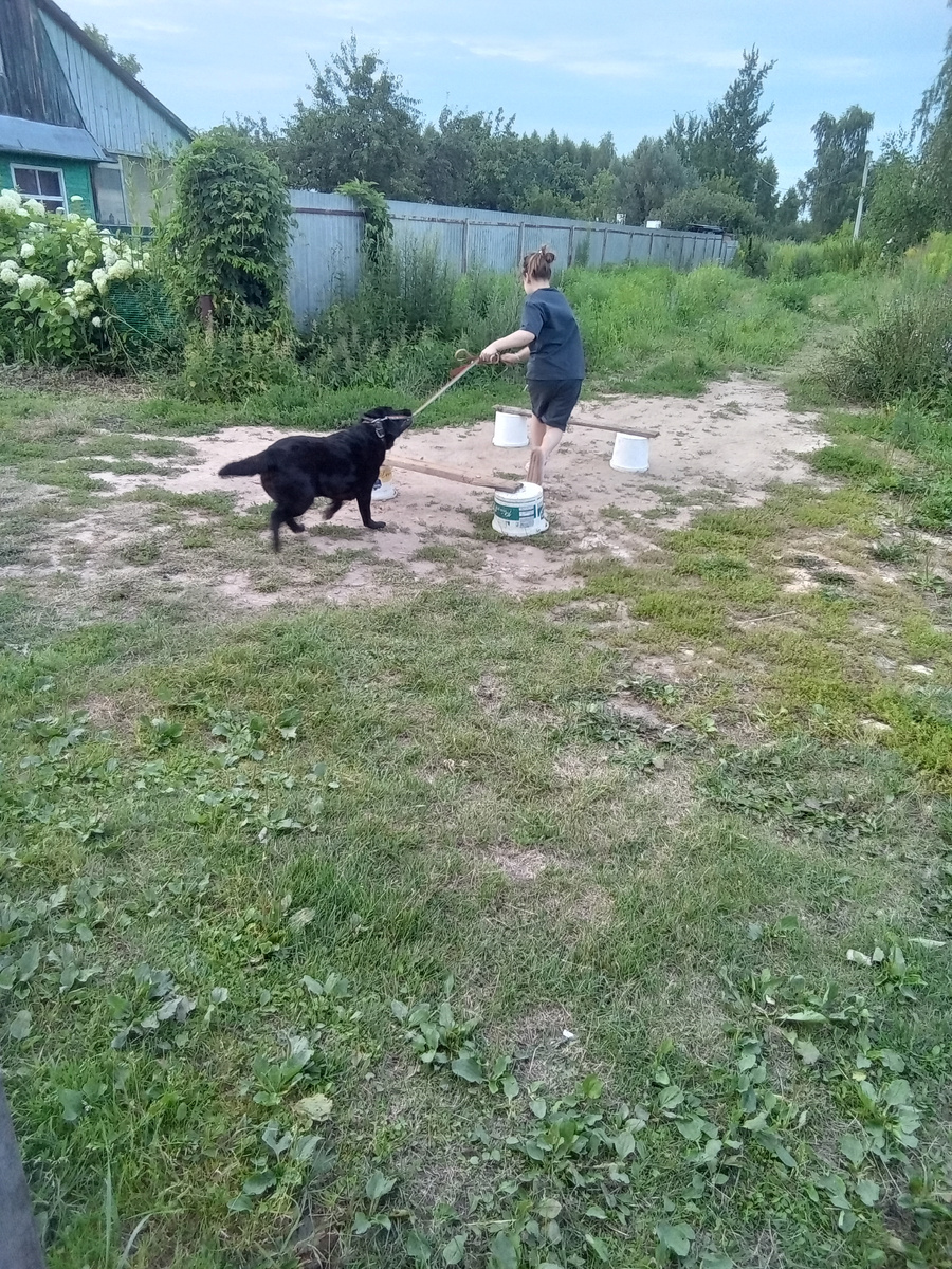 Фото автора. Обратите внимание-статус ноль!-перехват управления зубами за поводок. 