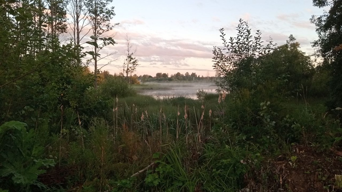 Закат у пруда. Идилия, которая требует упорной работы о которй я даже не догадывался. 