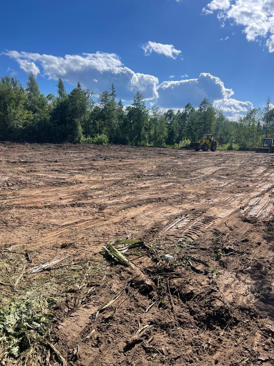 Чисты ровный участок май 2024 года . Счастье, как мне казалось. Но я был самонадеян и не расчитал свои силы. Природа тысячекратно сильнее любых траторов и грейдеров. Прошел ровно год и природа взяла свое.