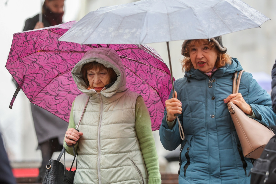    Алексей Белкин/NEWS.ru