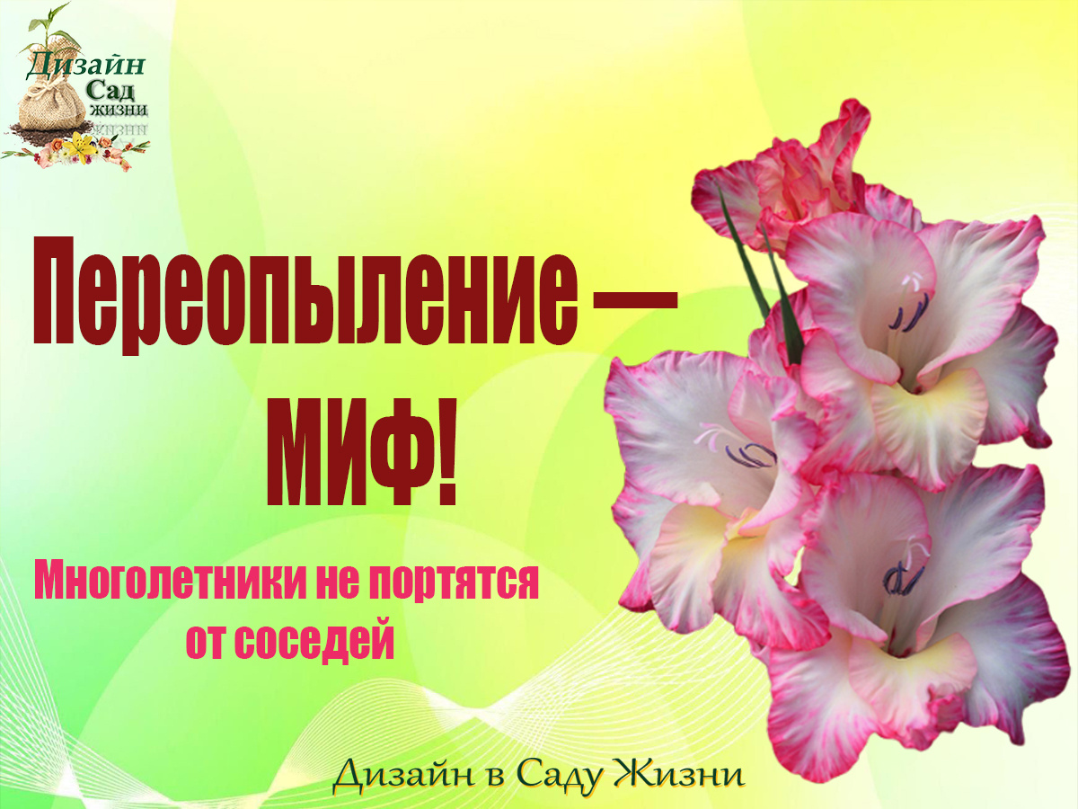 Правда о переопылении