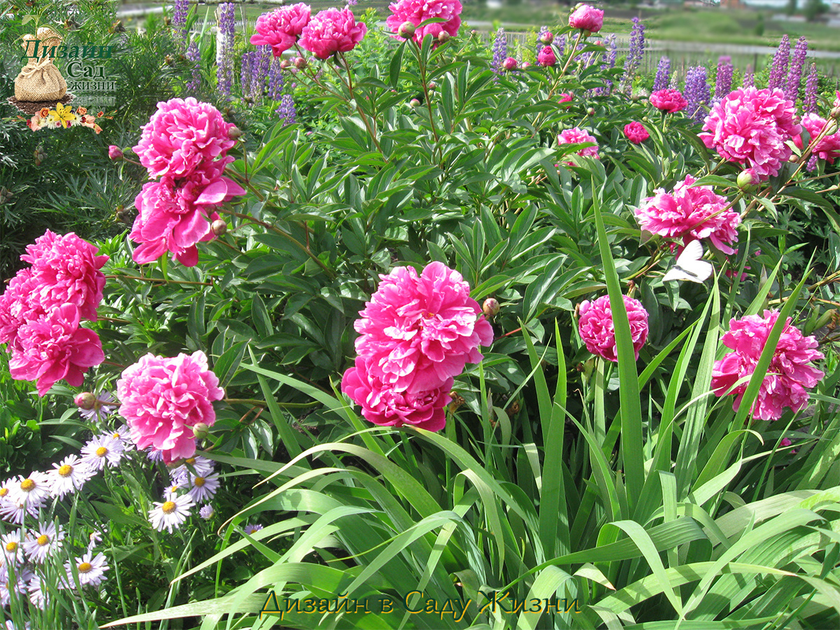 Правда о переопылении