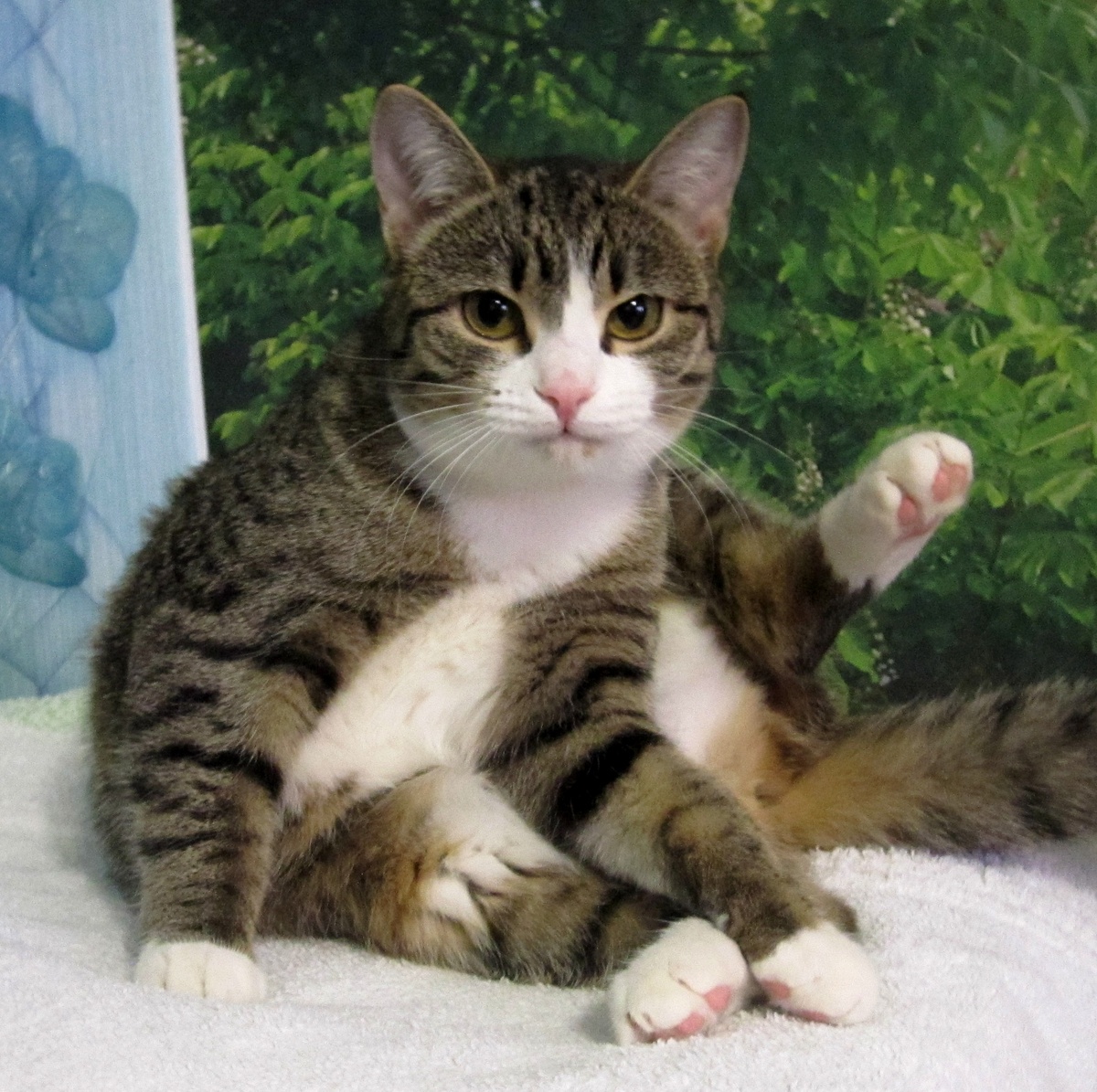 Фото автора. Варюта всем передает привет))