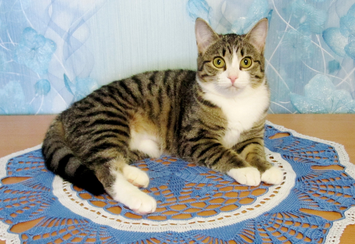 Фото автора.