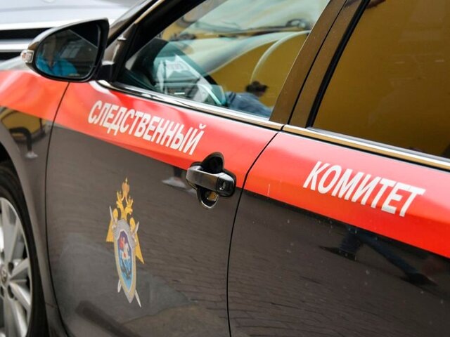    Фото: Москва 24/Антон Великжанин