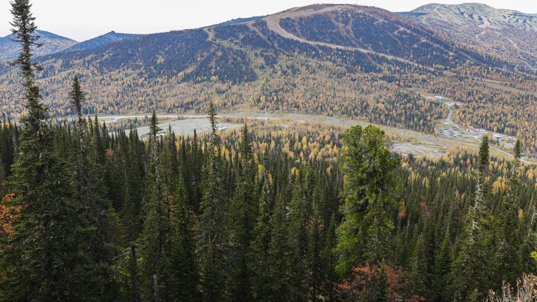    Фото: Razmik Zackaryan/Globallookpress.