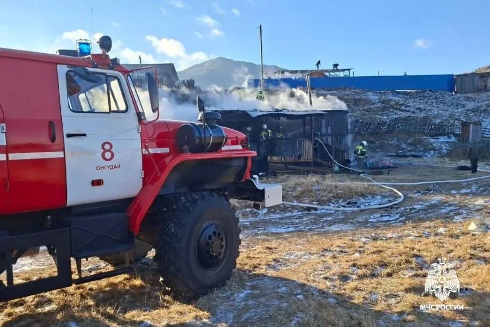    Пожар в Онгудайском районе. Источник: МЧС Республики Алтай