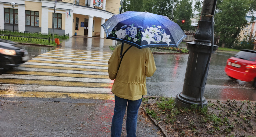    фото bryansk.news