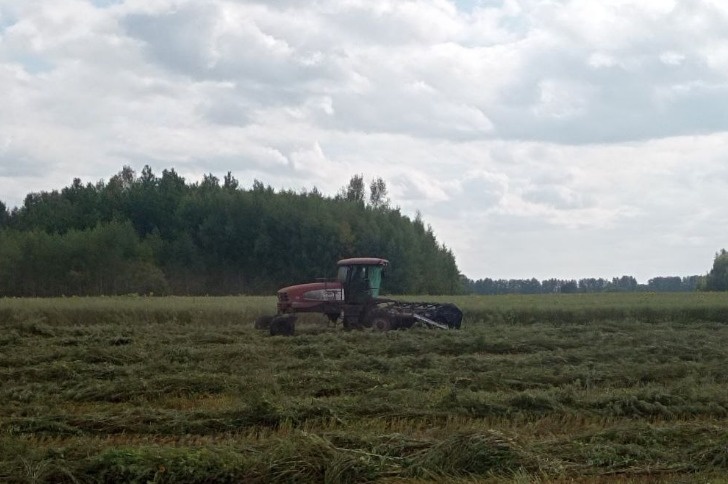    Фото: Пруфы